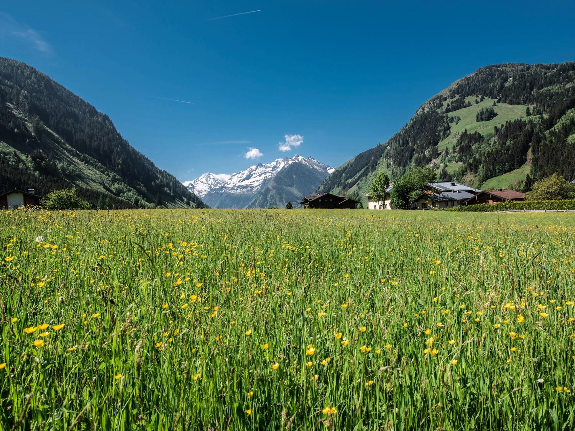 Appartement-Pension Fahrnberggut ラウリス エクステリア 写真