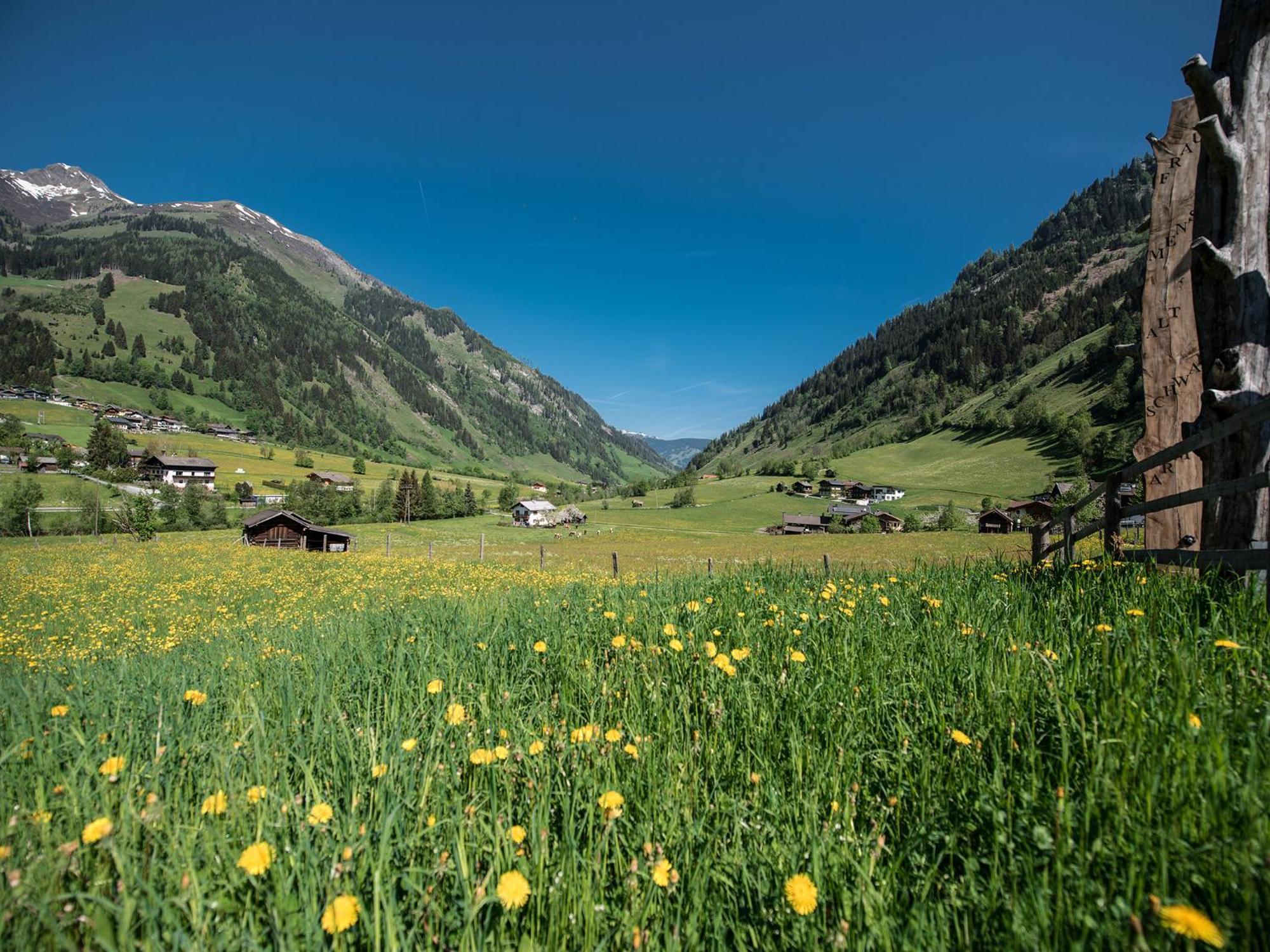 Appartement-Pension Fahrnberggut ラウリス エクステリア 写真